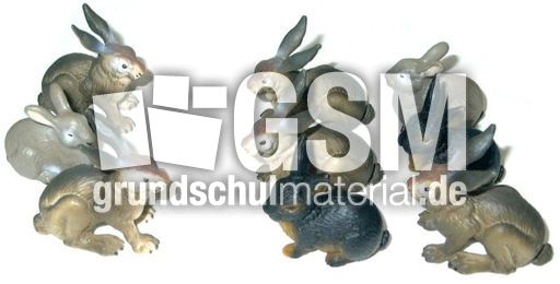 Hasen3+6.jpg